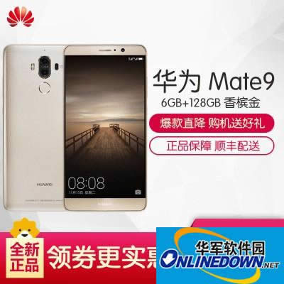华为（huawei）Mate 9自动选择手机（4G+64G 银钻灰） 京东3488元