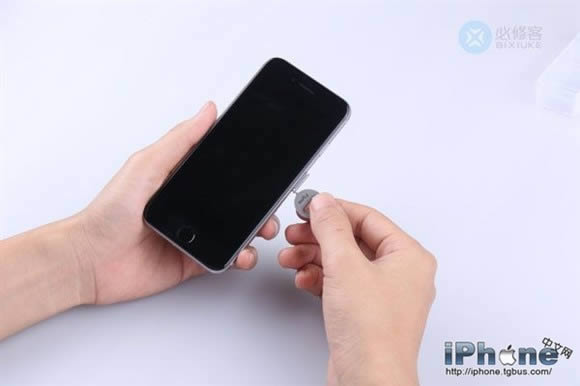 iPhone6 Plusˤô