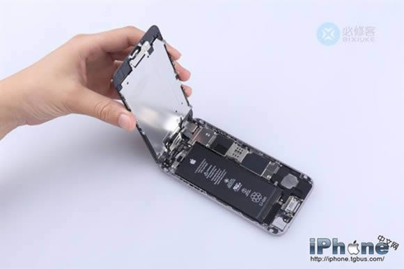 iPhone6 Plusˤô