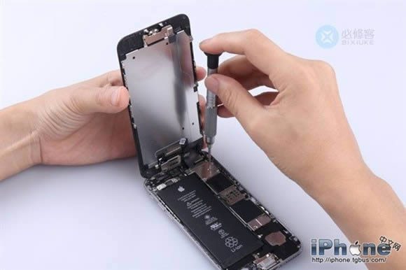 iPhone6 Plusˤô