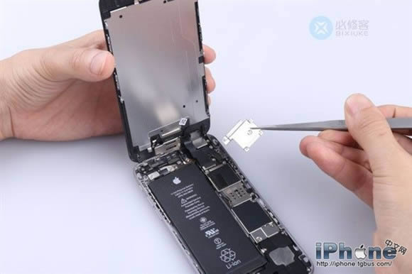 iPhone6 Plusˤô
