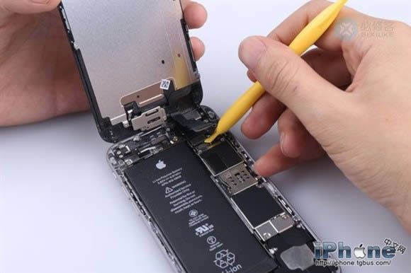 iPhone6 Plusˤô