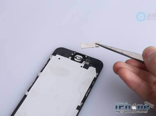iPhone6 Plusˤô