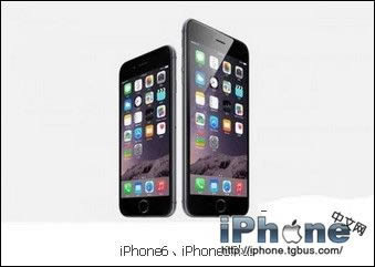 iPhone6 Plus⣿