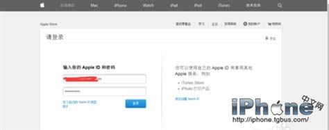 iPhone6 Plusڸ