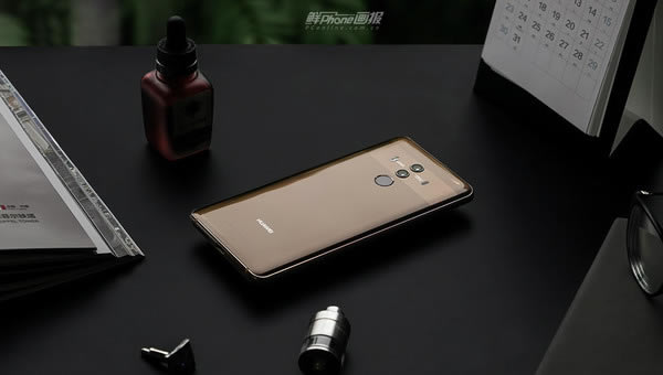 ΪMate 10 Pro