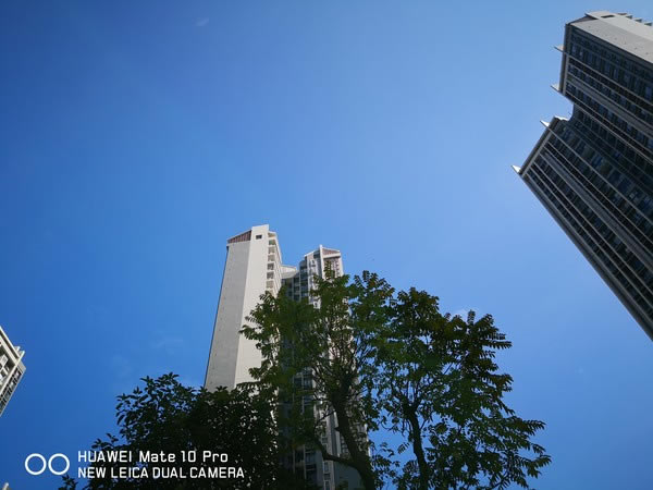 ΪMate 10 Pro