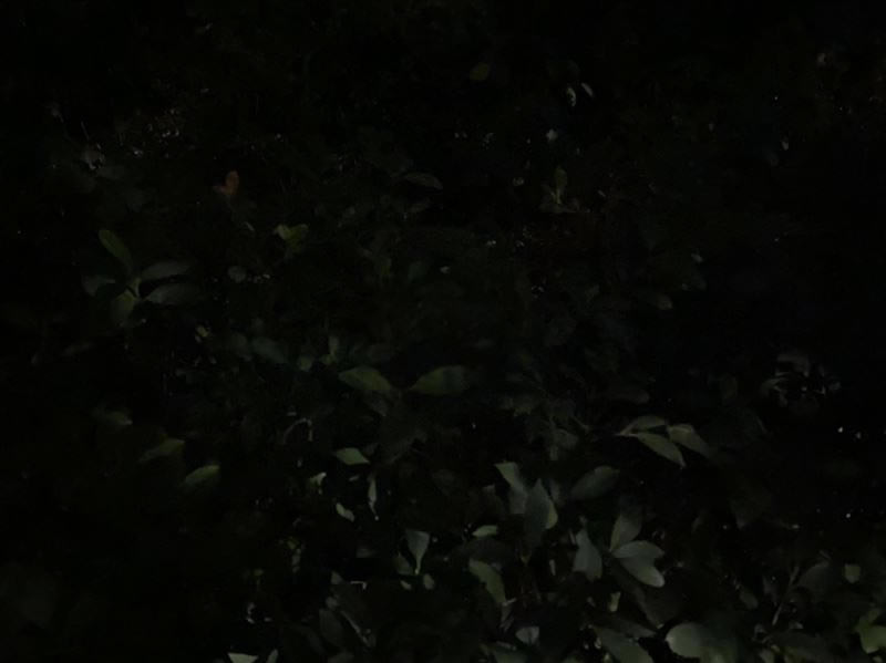 华为Mate30RS保时捷版值得入手吗 华为Mate30RS保时捷版详细评测_手机评测_手机学院_本站