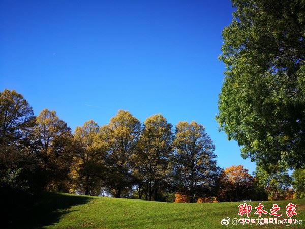 华为Mate 10 华为Mate 10