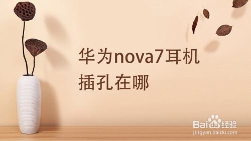 Ϊnova8ProͻΪmate30eproԱ-ĸ