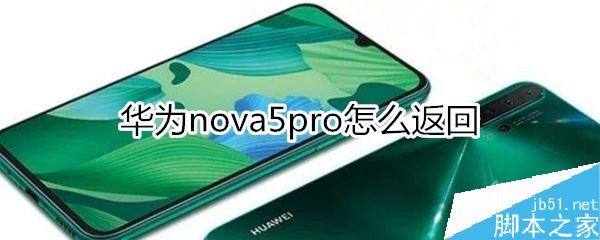 Ϊnova5 proôأΪnova5 proؽ̳