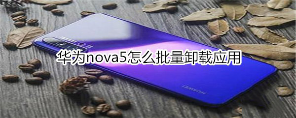 Ϊnova5жӦ?_׿ֻ_ֻѧԺ_վ