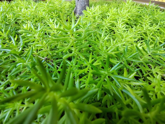 荣耀60Pro好不好 荣耀60Pro详细评测_手机评测_手机学院_本站