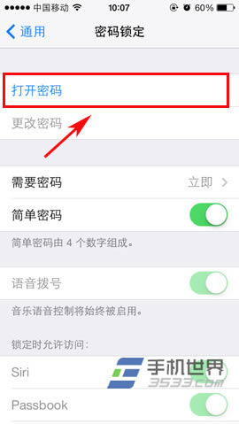 iphone5c密码设置_iphone指南