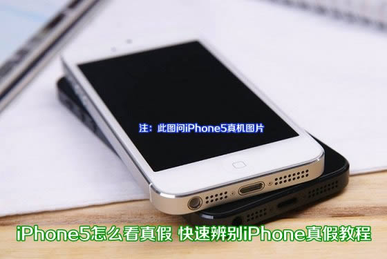 ƻiPhone5ô٣ 