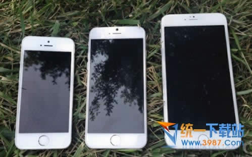 iPhone6如何播放音乐?_iphone指南