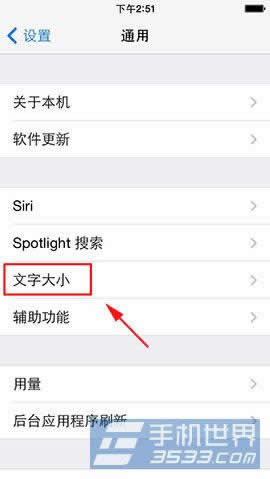 iphone6字体大小设置方法_iphone指南