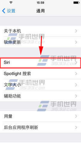 iPhone6 Plus siri声音性别如何切换？_手机技巧