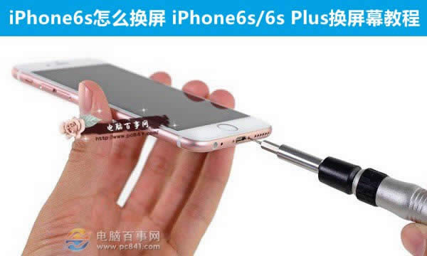 iPhone6sô   