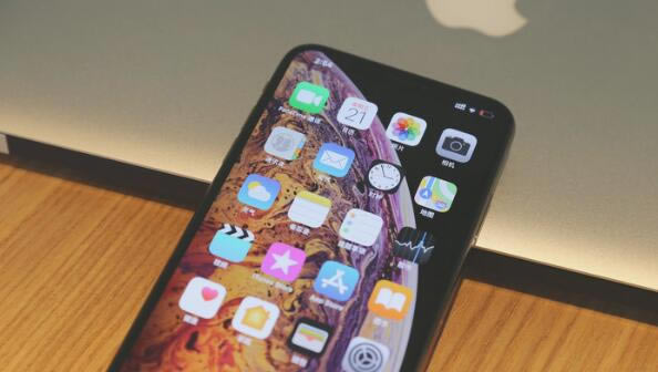 iPhone11֧˫˫ƻiPhone11Բ˫