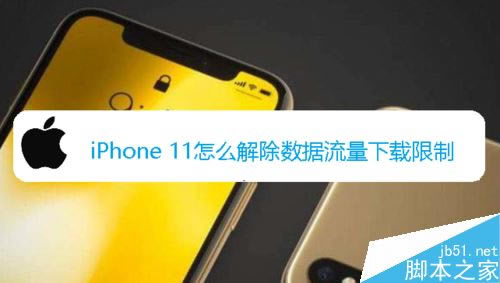 iphone11如何解除流量下载局限？iPhone11解除流量下载局限的方法