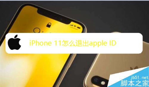 iPhone 11怎么切换apple ID登录?iPhone 11切换登录apple ID教程_苹果手机_本站