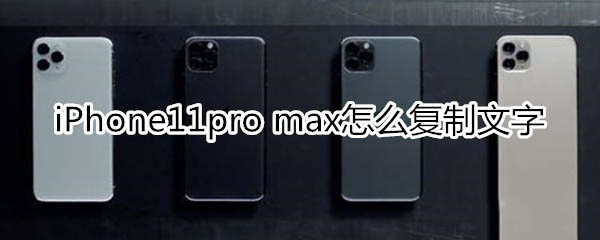 iPhone11pro max如何复制文字?