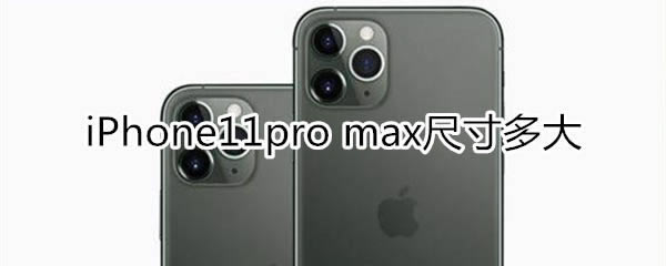 iphone11 pro maxߴǶ?