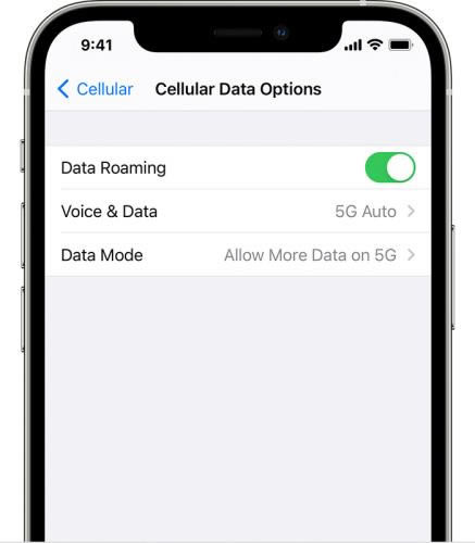 iPhone12如何使用5G iPhone12状态栏中不显示5G如何办