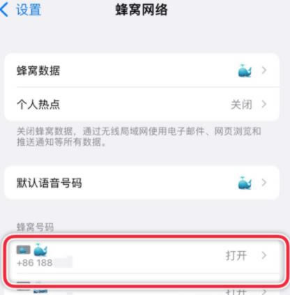 iphone13双卡打电话怎么切换 iphone13怎么设置主副号_苹果手机_手机学院_本站