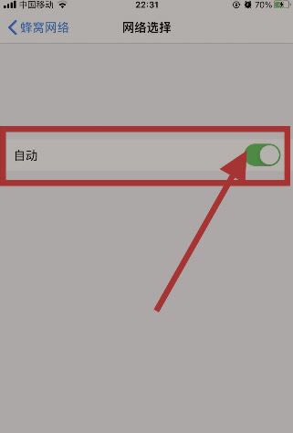iphone13如何修改运营商名称教程_苹果手机_手机学院_本站