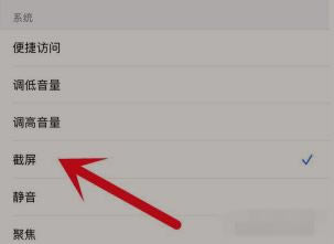 iPhone13Pro怎么开启轻点背面截屏 iPhone13Pro快速截屏的技巧_苹果手机_本站