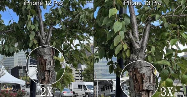 iPhone13Pro与12Pro哪个拍照更好?iPhone13Pro与iPhone12Pro拍照对比_苹果手机_手机学院_本站