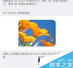 iPhone6S3DTouchûӦĽ_ƻֻ_ֻѧԺ_վ