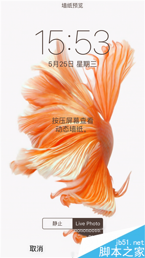 iPhone6s动态壁纸不动怎么回事 iPhone6s动态壁纸不动的解决办法_苹果手机_本站