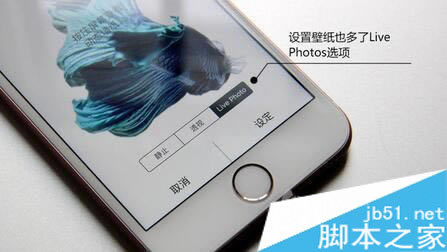 iphone6s/Plus动态锁屏壁纸制作教程 iPhone6s/Plus自制live photo动态锁屏壁纸导入图_苹果手机_手机学院_本站