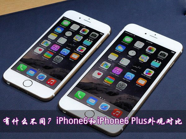 苹果6与苹果6 Plus有何不同?iPhone6和iPhone6 Plus外观对比图赏_手机资讯_手机学院_本站
