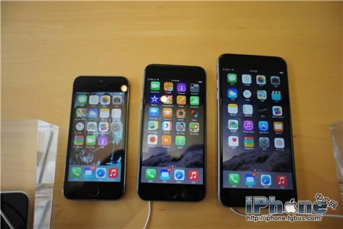 iphone6/iPhone6 Plus iPhone5ĸ iphone6/iPhone6PlusiPhone5sԱͼ_ƻֻ_ֻѧԺ_վ