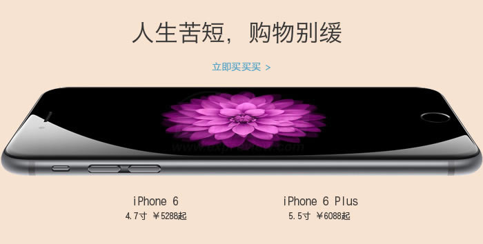 [更新]应该买哪一个版本?国内外iphone6/6 Plus版本差异表格(购买路径总结)
