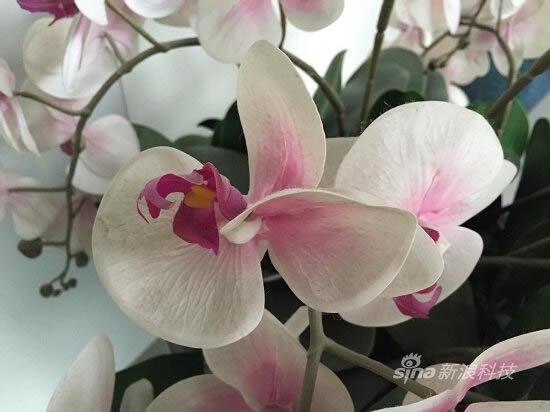 4.7英寸版iPhone6实际使用体验评测(目前最全面最详细评测)_手机评测_手机学院_本站