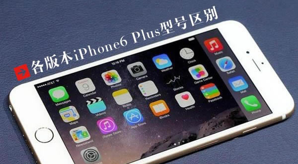 iPhone6 Plus有哪些型号 各版本苹果6 Plus型号区别介绍
