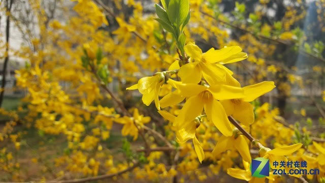 三星S6和iPhone6哪个好用 三星S6与iPhone6对比评测图文详解_手机评测_手机学院_本站