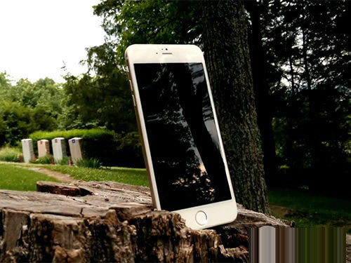 苹果躺着也能赢 果粉入手iPhone6必知