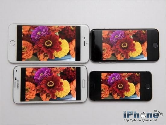 iPhone6/6 Plus/iPhone5s/S5˭Ļãֱʺã_ֻѶ_ֻѧԺ_վ