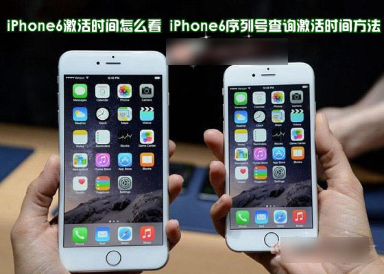 iPhone6激活时间怎么看?苹果iPhone6用序列号查询激活时间方法图解_苹果手机_手机学院_本站
