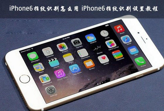 iPhone6指纹识别怎么设置?苹果iPhone6指纹识别使用教程图解_苹果手机_手机学院_本站