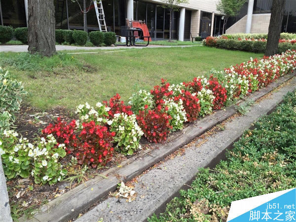 都是800万!iPhone 6/6 Plus摄像头样张对比