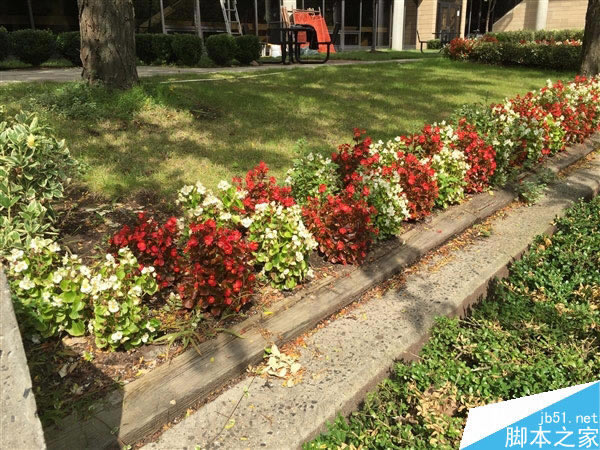 都是800万!iPhone 6/6 Plus摄像头样张对比