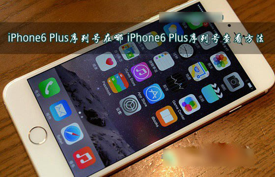 iPhone6 Plus序列号在哪里?三种苹果iPhone6 Plus序列号查看方法图解_苹果手机_手机学院_本站
