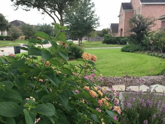 苹果iPhone6 Plus拍照对比佳能EOS 5D Mark III:差距悬殊_苹果手机_手机学院_本站